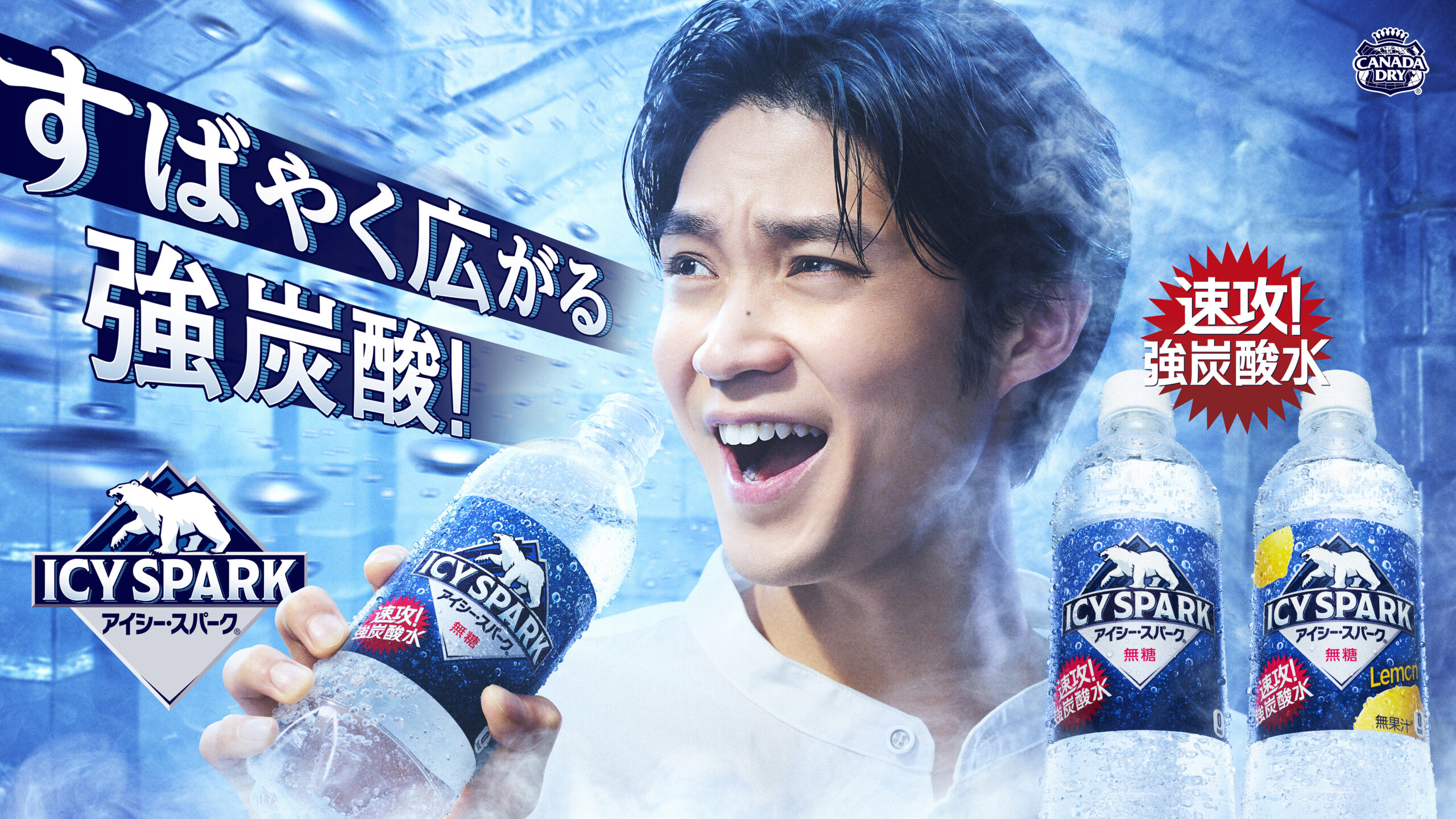SALE／90%OFF】 コカ コーラ icy spark from カナダドライ1.5lpet ×6本